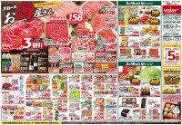 page 1 thumbnail